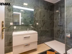 Prodej rodinného domu, Jenišov, Pod Vrchem, 483 m2