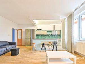 Pronájem bytu 1+kk, Brno - Královo Pole, Mojžíšova, 62 m2