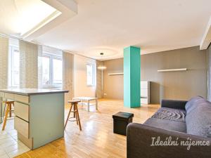 Pronájem bytu 1+kk, Brno - Královo Pole, Mojžíšova, 62 m2