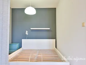 Pronájem bytu 1+kk, Brno - Královo Pole, Mojžíšova, 62 m2