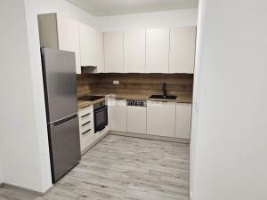 Pronájem bytu 2+kk, Kralupy nad Vltavou - Minice, Souběžná, 52 m2