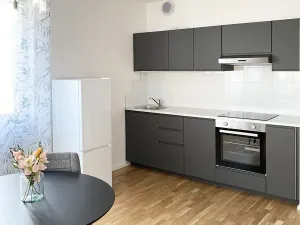 Pronájem bytu 2+kk, Praha - Záběhlice, Práčská, 70 m2