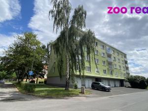 Pronájem bytu 1+kk, Kadaň, Koželužská, 21 m2