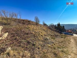 Prodej pozemku pro bydlení, Dolní Hbity - Luhy, 1061 m2