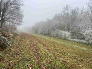 Prodej pozemku, Stará Paka, 1210 m2