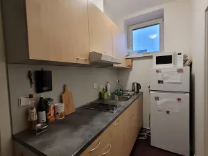 Pronájem pokoje, Brno, Vídeňská, 20 m2