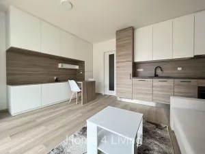 Pronájem bytu 1+kk, Brno, Trnitá, 42 m2