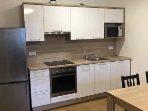 Pronájem bytu 2+kk, Olomouc, Janského, 62 m2