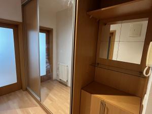 Pronájem bytu 1+kk, Olomouc - Nové Sady, Družební, 38 m2