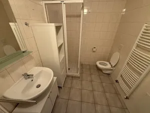 Pronájem bytu 1+kk, Brno, Brigádnická, 40 m2