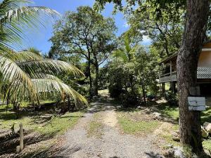 Prodej chaty, Punta Blanca, José Santos Guardiola, Honduras, 232 m2