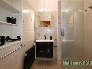 Pronájem bytu 2+kk, Praha - Vinohrady, Mánesova, 58 m2