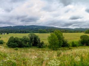 Prodej bytu 3+kk, Volary - Chlum, 110 m2