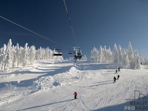 Prodej bytu 3+kk, Volary - Chlum, 110 m2