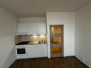 Pronájem bytu 1+kk, Praha - Braník, Nad lesním divadlem, 24 m2