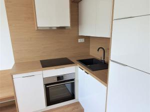 Pronájem bytu 1+1, Ostrava, Bohumínská, 25 m2