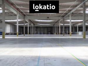 Pronájem skladu, Bor, 3500 m2