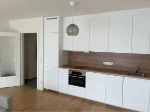 Pronájem bytu 1+kk, Praha - Žižkov, Krásova, 40 m2