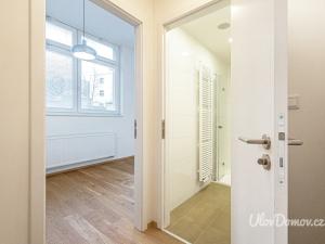 Prodej bytu 2+kk, Praha - Vinohrady, Perucká, 36 m2