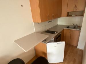 Pronájem bytu 1+kk, Brno - Zábrdovice, Francouzská, 30 m2