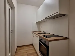 Pronájem bytu 2+1, Praha - Bubeneč, U zeměpisného ústavu, 46 m2