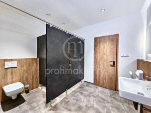 Pronájem obchodního prostoru, Moravany, 539 m2