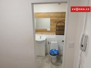 Pronájem bytu 1+kk, Otrokovice, 29 m2