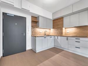 Pronájem bytu 1+kk, Praha - Holešovice, Tusarova, 42 m2