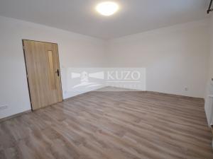 Pronájem bytu 1+1, Březová, 42 m2