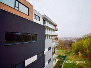 Pronájem bytu 1+kk, Brno - Husovice, Provazníkova, 55 m2