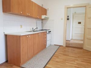 Pronájem bytu 1+1, Praha - Žižkov, Za žižkovskou vozovnou, 50 m2