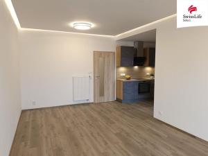 Pronájem bytu 2+kk, Plzeň, Vojanova, 60 m2