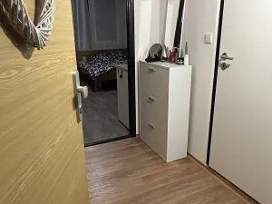 Pronájem bytu 1+kk, Liberec, Šimáčkova, 32 m2