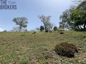 Prodej pozemku, Jonesville, José Santos Guardiola, Honduras, 1594 m2