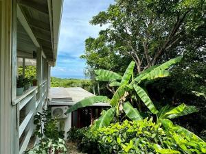 Prodej rodinného domu, Roatan, José Santos Guardiola, Honduras, 334 m2