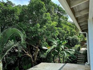 Prodej rodinného domu, Roatan, José Santos Guardiola, Honduras, 334 m2