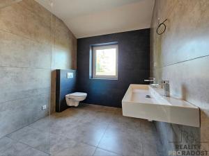 Prodej rodinného domu, Chyňava - Podkozí, 276 m2
