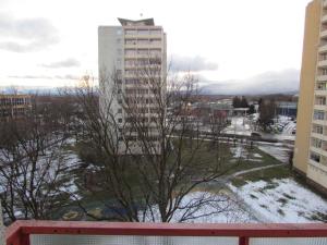 Prodej bytu 2+1, Litvínov - Horní Litvínov, Čapkova, 65 m2