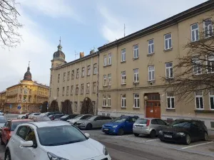 Prodej bytu 1+1, Jihlava, Palackého, 65 m2