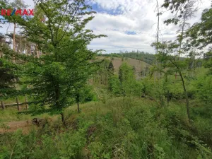 Prodej lesa, Číměř, 1493 m2