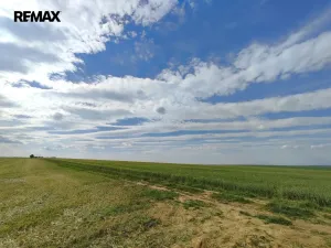 Prodej lesa, Číměř, 17681 m2