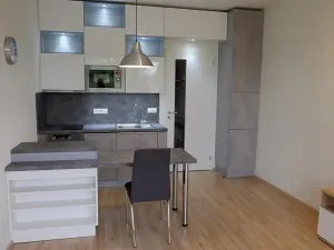 Pronájem bytu 1+kk, Praha - Hodkovičky, Šífařská, 26 m2