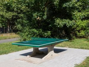 Prodej bytu 3+1, Plzeň - Severní Předměstí, Elišky Krásnohorské, 67 m2
