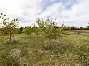 Prodej pozemku pro bydlení, Dolní Břežany, 883 m2