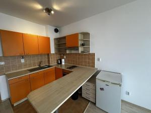 Pronájem bytu 1+kk, Praha - Řeporyje, Wiesenthalova, 36 m2