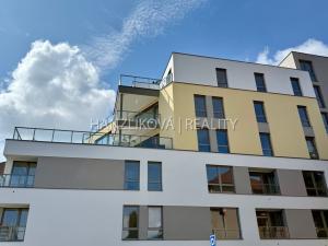 Prodej bytu 1+kk, České Budějovice, Hálkova, 24 m2