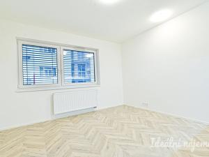 Pronájem bytu 1+kk, Brno, Cejl, 29 m2