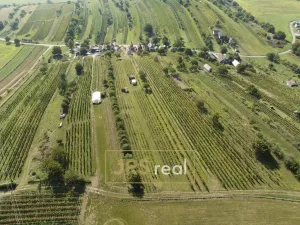 Prodej - jiné, Mutěnice, 80 m2