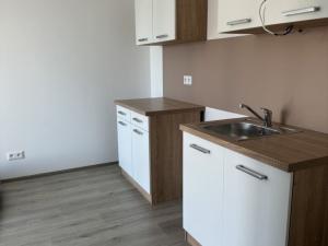 Pronájem bytu 1+kk, Slaný, Prokopa Holého, 28 m2