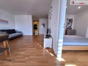 Pronájem bytu 2+kk, Praha - Vinohrady, Mánesova, 49 m2